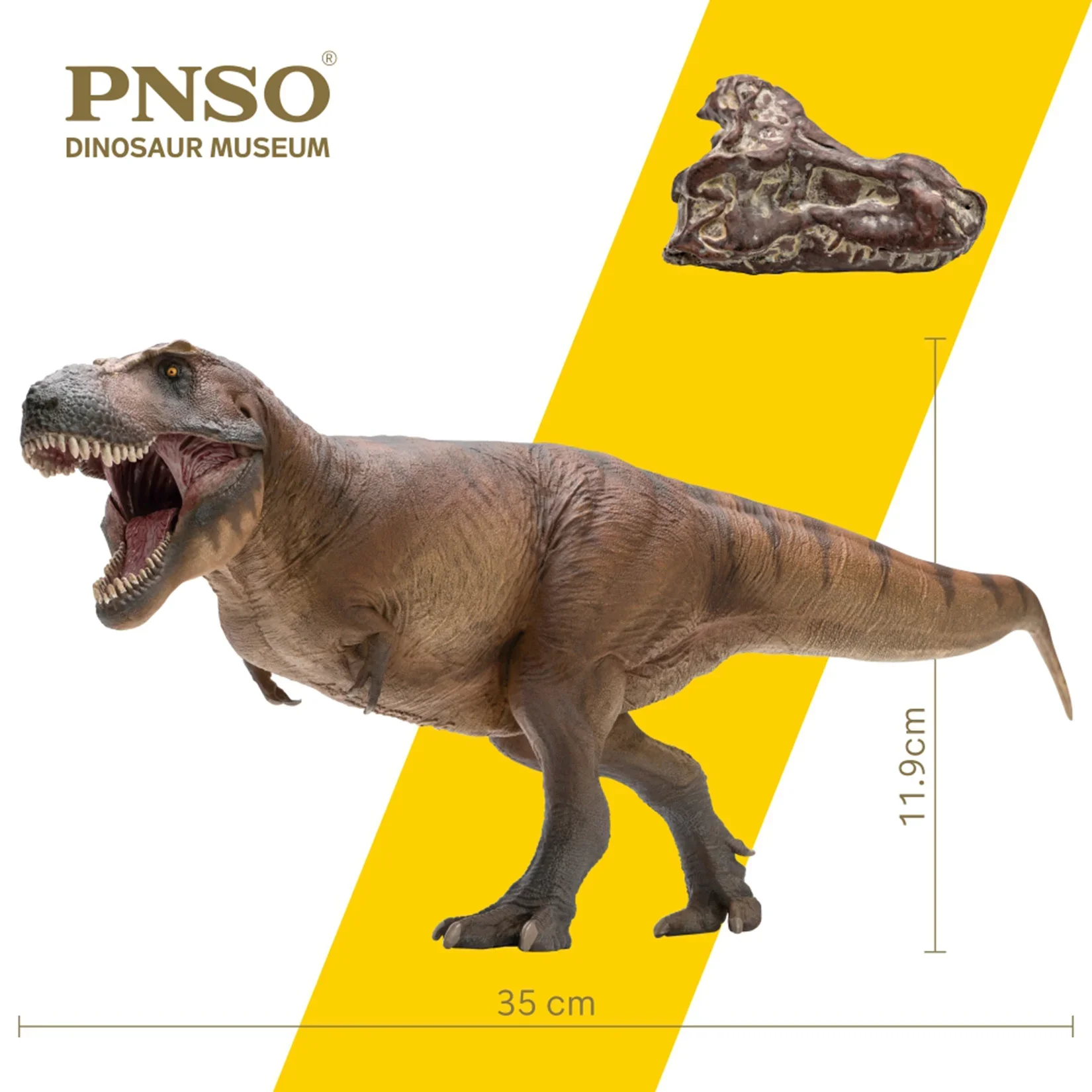 Resin Art Decoration Items - PNSO 1/35 Tyrannosaurus Rex Cameron Model