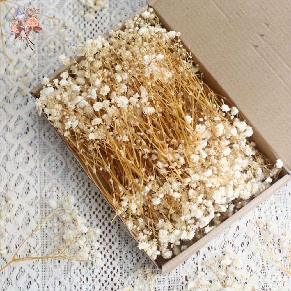 Resin Art Flowers - 100 stuks Mini Gedroogde Baby's Breath