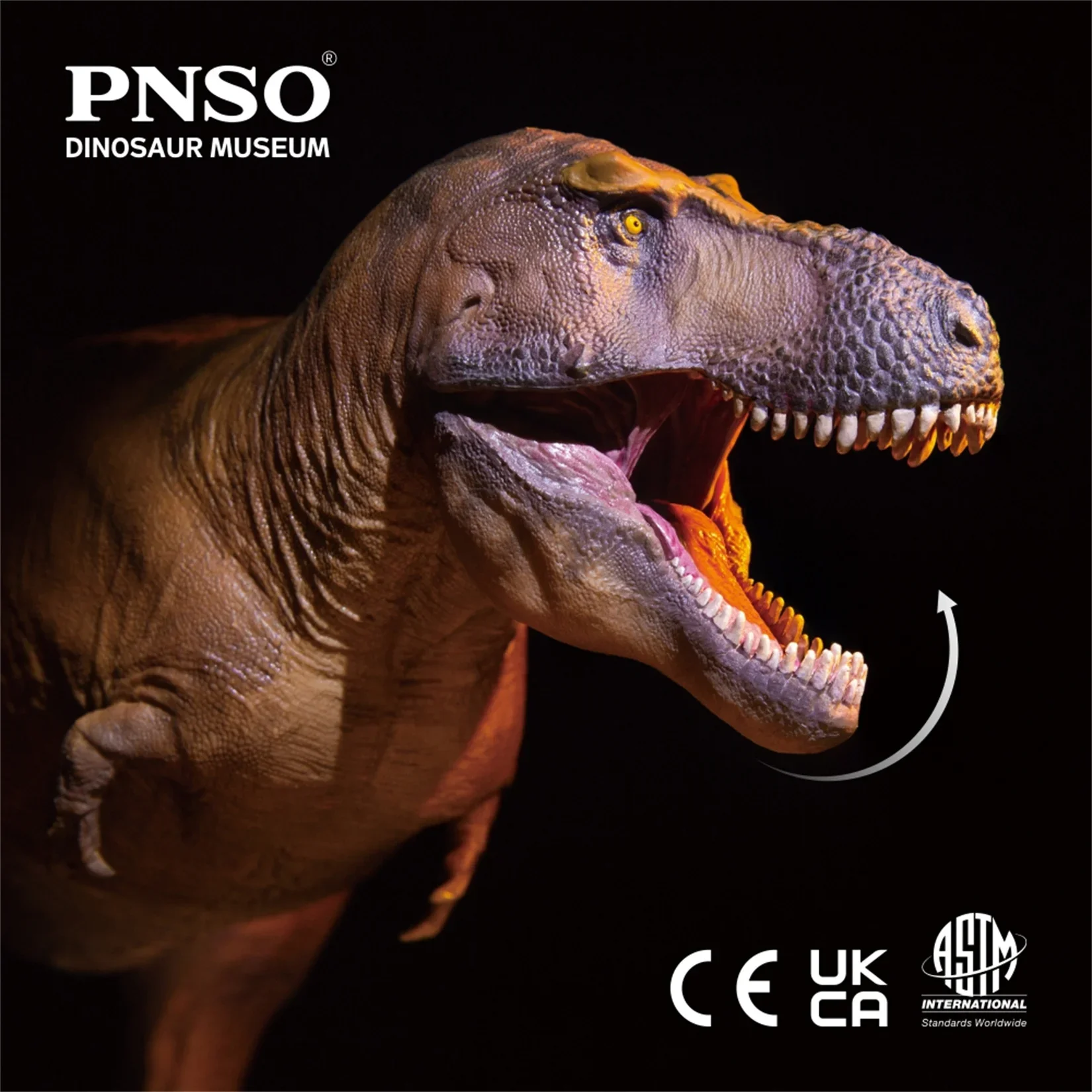 PNSO 1/35 Tyrannosaurus Rex Ca - Resin Art Decoration Items recensie en prijs
