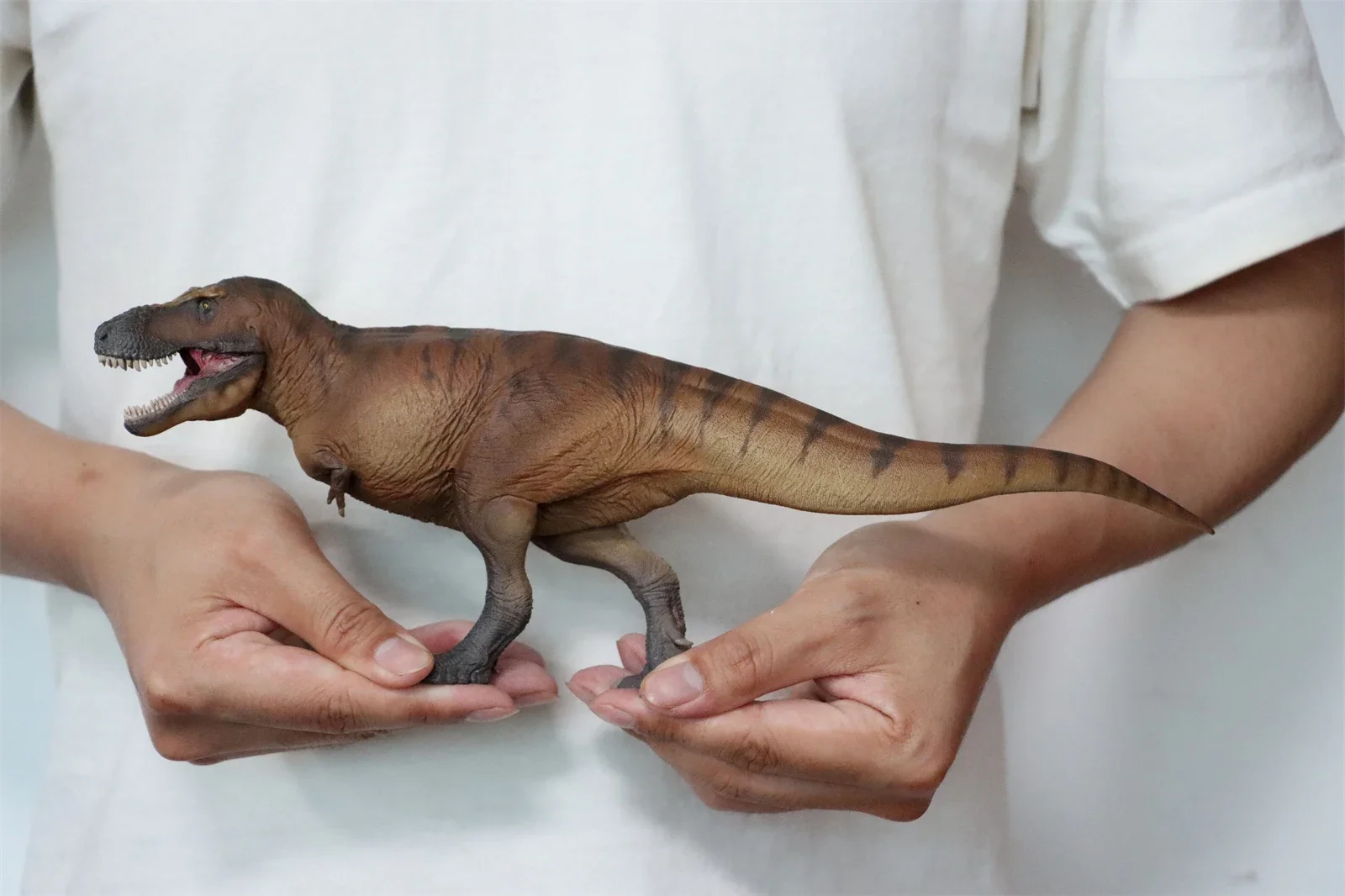 PNSO 1/35 Tyrannosaurus Rex Ca - Resin Art Decoration Items recensie en prijs
