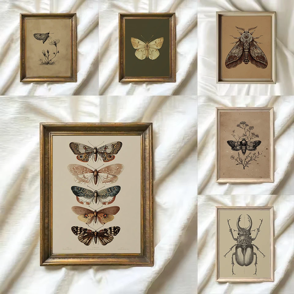 Vintage Insecten Mot, Vlinder, - Resin Art Wall Decor recensie en prijs