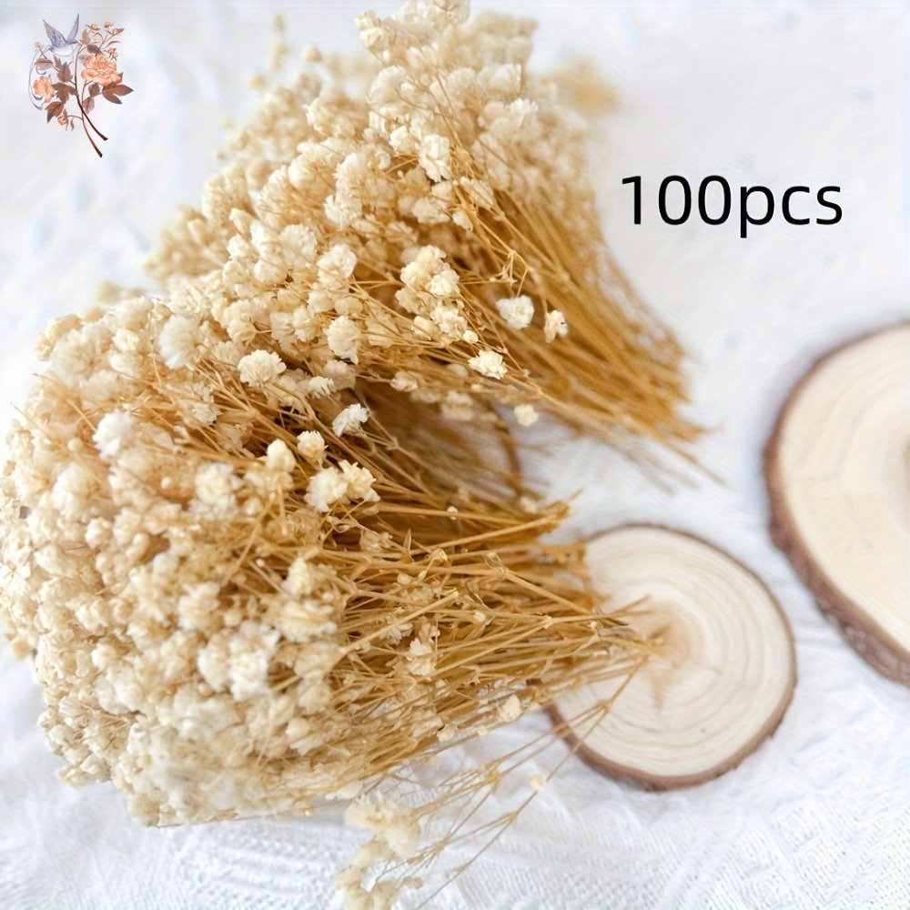 100 stuks Mini Gedroogde Baby' - Resin Art Flowers recensie en prijs