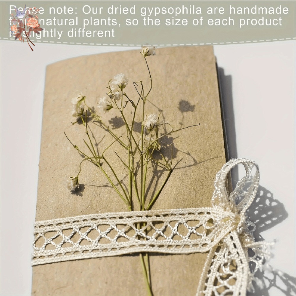 100 stuks Mini Gedroogde Baby' - Resin Art Flowers recensie en prijs